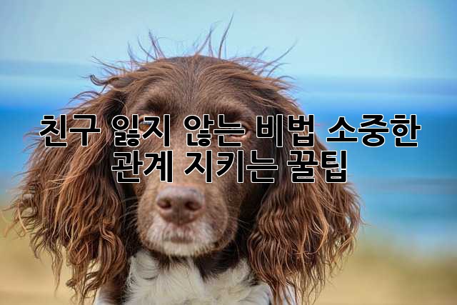 친구 잃지 않는 비법: 소중한 관계 지키는 꿀팁