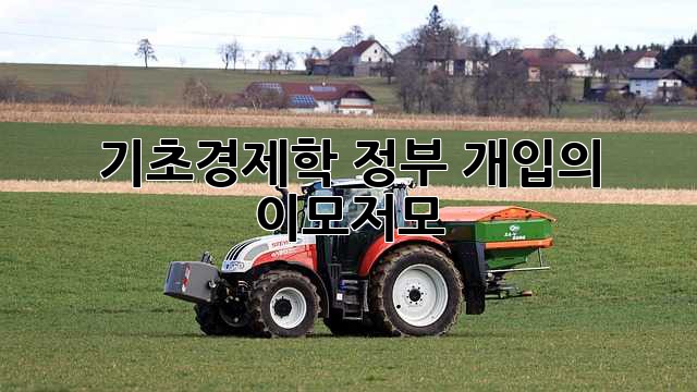 기초경제학: 정부 개입의 이모저모