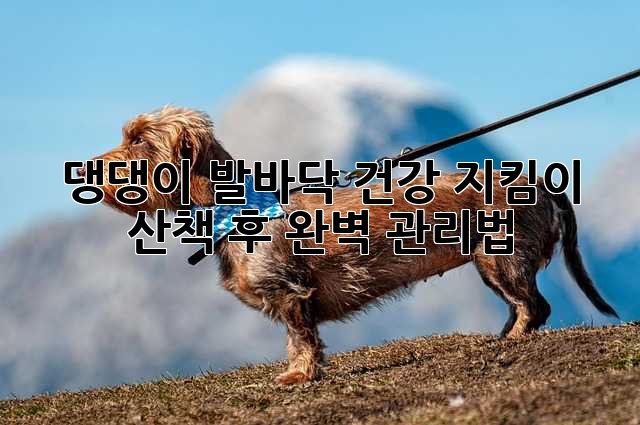 댕댕이 발바닥 건강 지킴이: 산책 후 완벽 관리법🐾