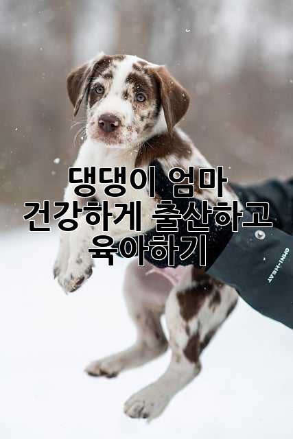 댕댕이 엄마, 건강하게 출산하고 육아하기🐶💖