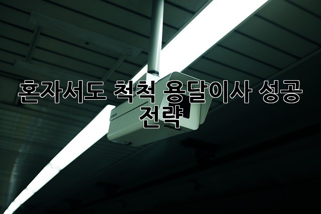 혼자서도 척척! 용달이사 성공 전략
