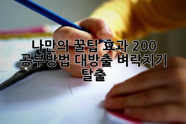 나만의 꿀팁🍯 효과 200% 공부방법 대방출! 벼락치기 탈출🚀