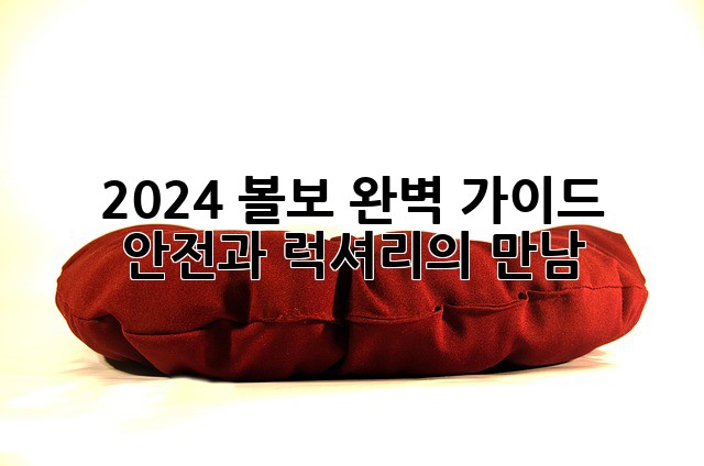 2024 볼보 완벽 가이드: 안전과 럭셔리의 만남